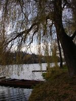 Berounka 2-Řevnice 18.11.05 (2).jpg